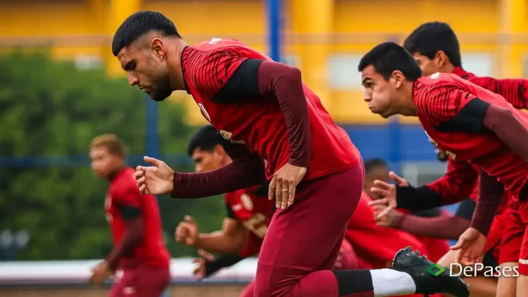 Universitario