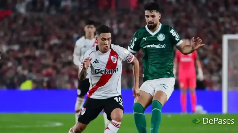 River Palmeiras